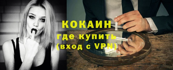 ПСИЛОЦИБИНОВЫЕ ГРИБЫ Аркадак