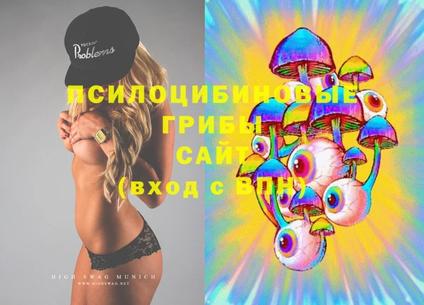 ГАЛЛЮЦИНОГЕННЫЕ ГРИБЫ Арсеньев