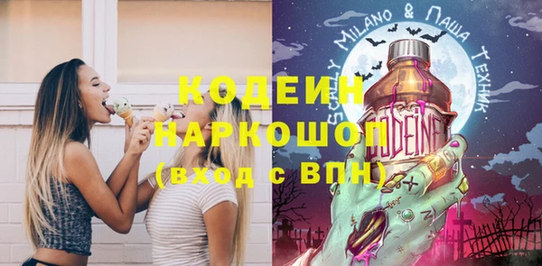 ГАЛЛЮЦИНОГЕННЫЕ ГРИБЫ Арсеньев