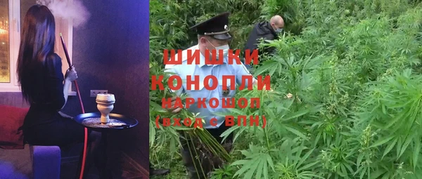ПСИЛОЦИБИНОВЫЕ ГРИБЫ Аркадак