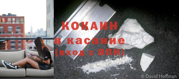 ПСИЛОЦИБИНОВЫЕ ГРИБЫ Аркадак